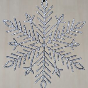 #48-Snowflake-3 - Silver