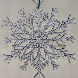 #52-Snowflake-5 - Silver