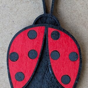 Ladybug